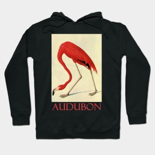 Flamingo by John James Audubon Hoodie